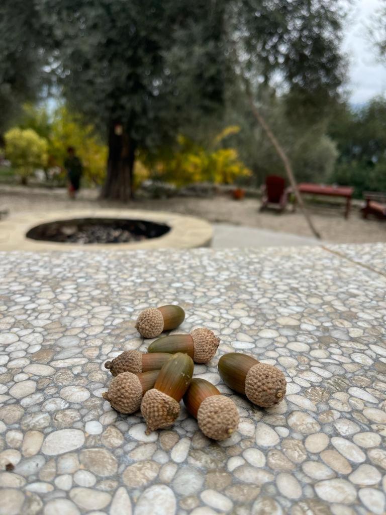 Antalya Bodrum Kayasi Dag Oteli Hasdumen Eksteriør bilde