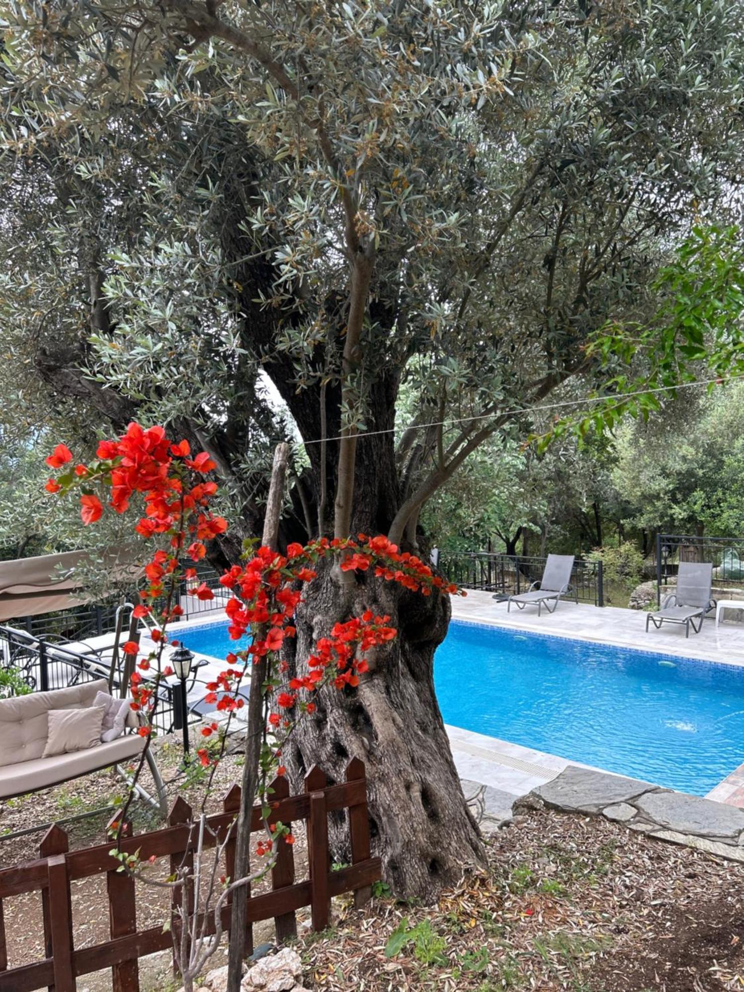 Antalya Bodrum Kayasi Dag Oteli Hasdumen Eksteriør bilde